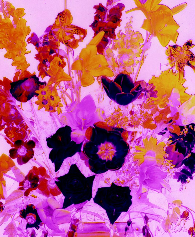 Color Rush: American Color Photography from Stieglitz to Sherman