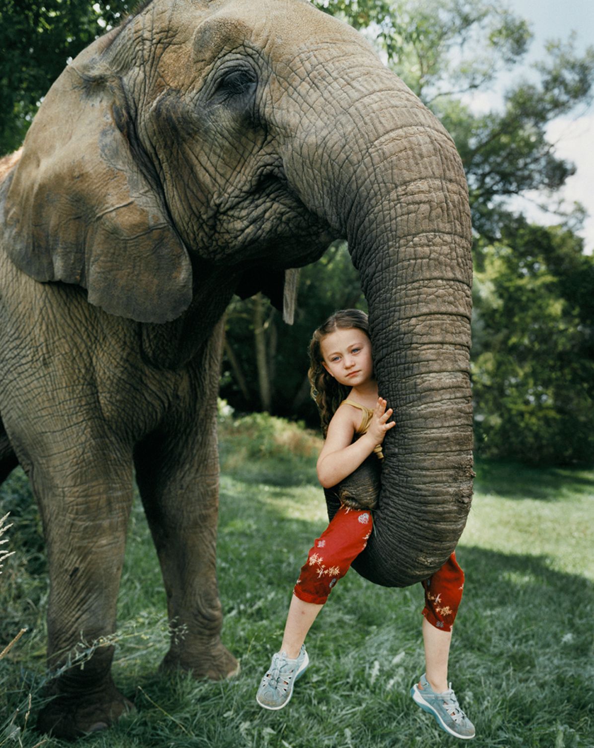 Robin Schwartz: Amelia and the Animals
