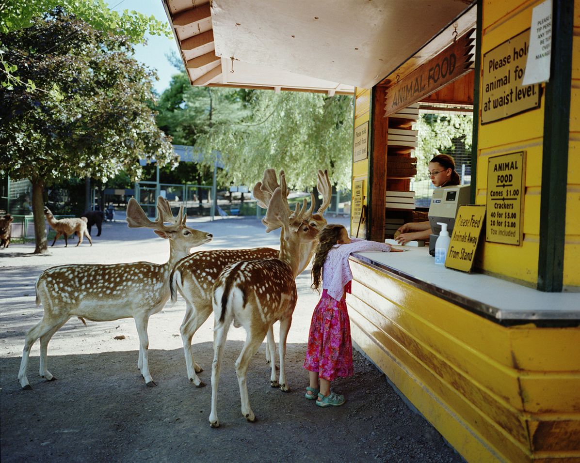Robin Schwartz: Amelia and the Animals
