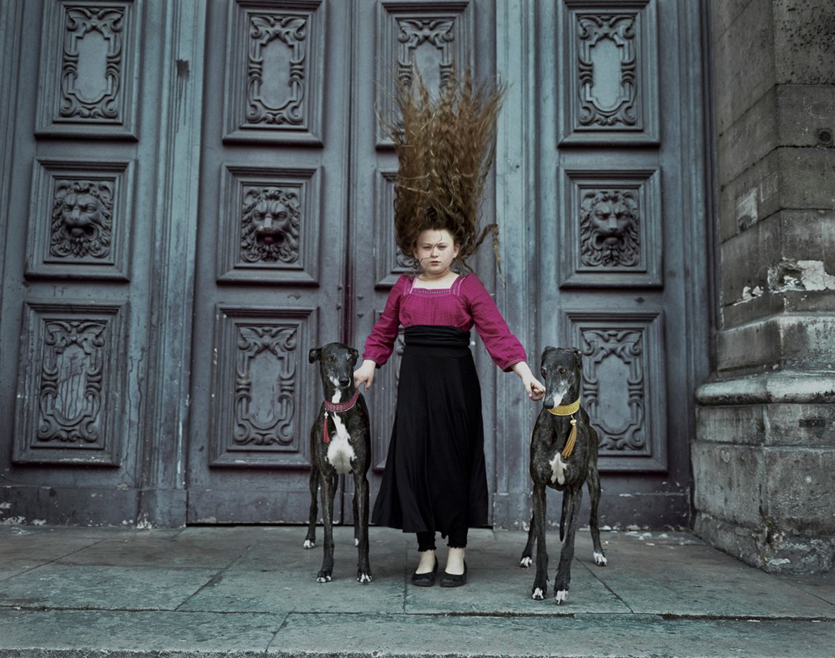 Robin Schwartz: Amelia and the Animals