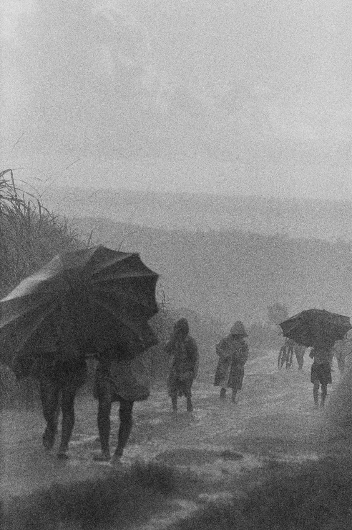Hiroji Kubota: Photographer