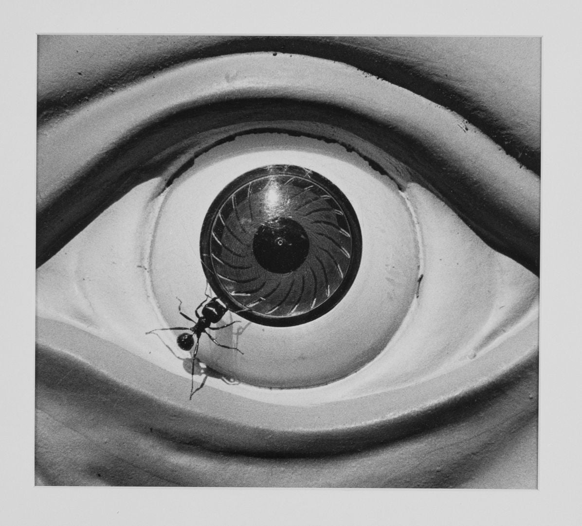 David Wojnarowicz: Brush Fires in the Social Landscape: Twentieth Anniversary Edition