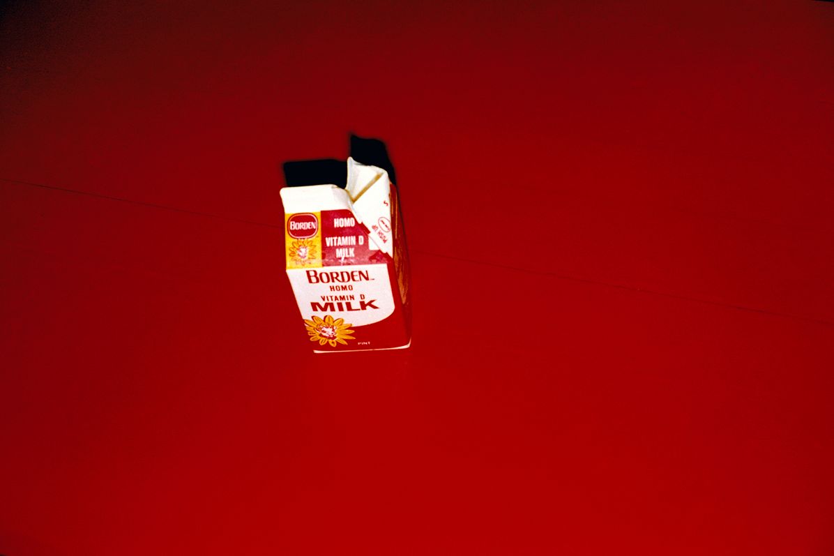 Stephen Shore: Survey