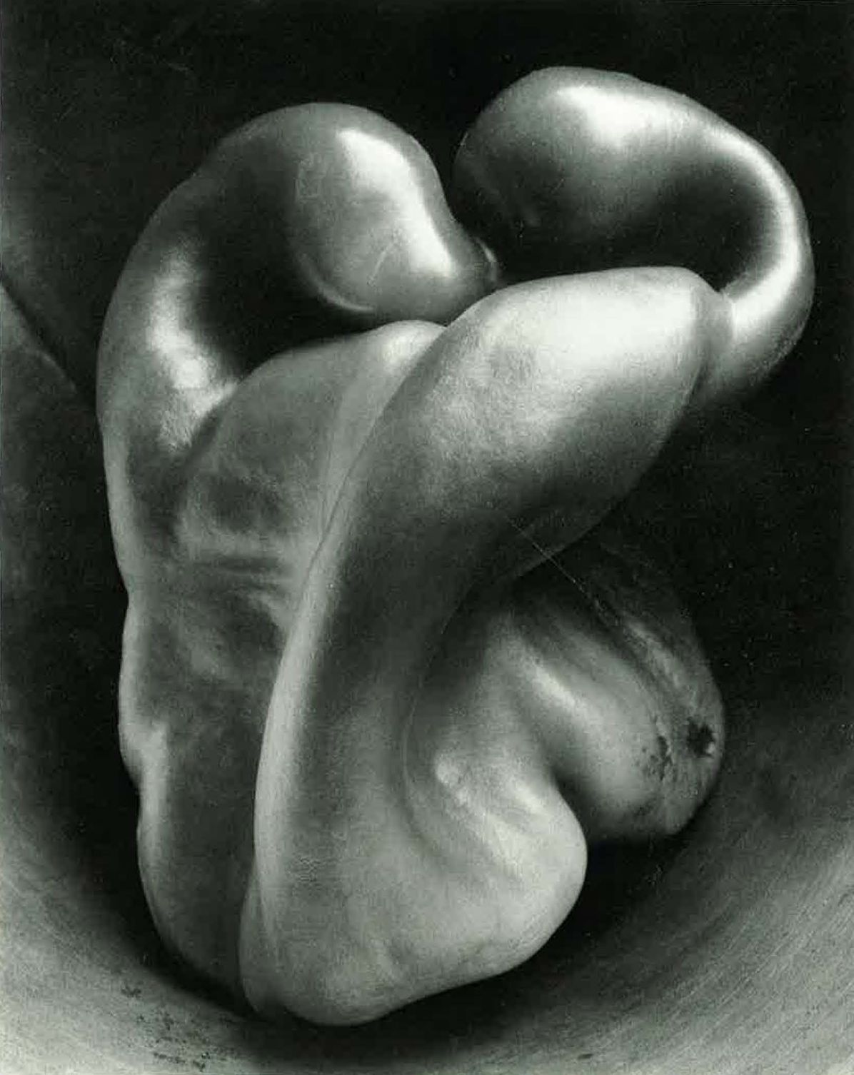 Edward Weston: The Flame of Recognition