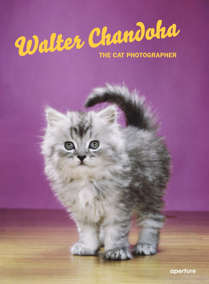 Walter Chandoha : The Cat Photographer