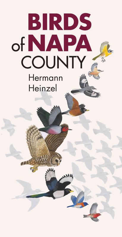 Birds of Napa County