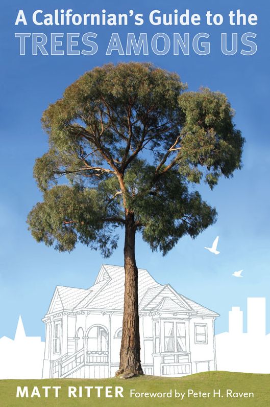 Californian's Guide to the Trees Among Us