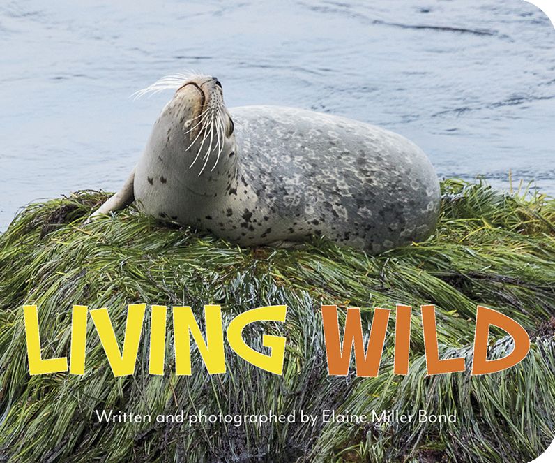 Living Wild