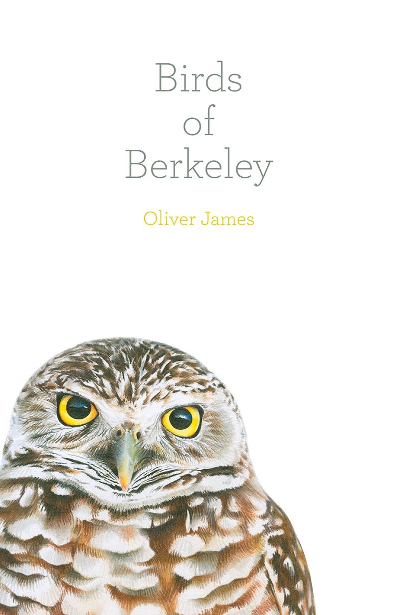 Birds of Berkeley