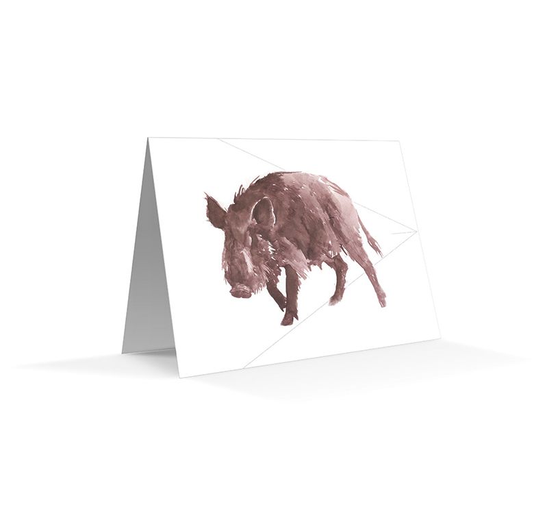 The California Field Atlas Note Card Set: Mammals