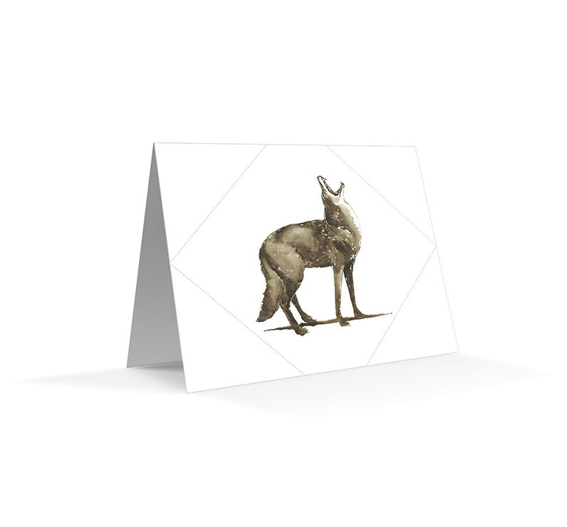 The California Field Atlas Note Card Set: Mammals