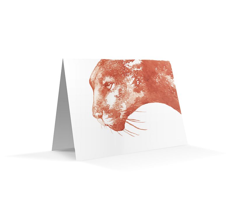 The California Field Atlas Note Card Set: Mammals