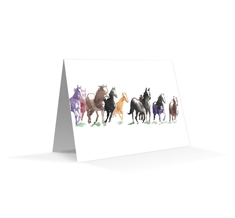 The California Field Atlas Note Card Set: Mammals