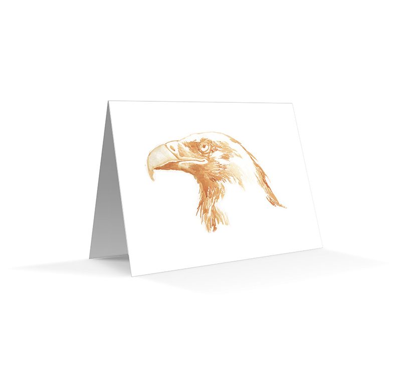 The California Field Atlas Note Card Set: Raptors