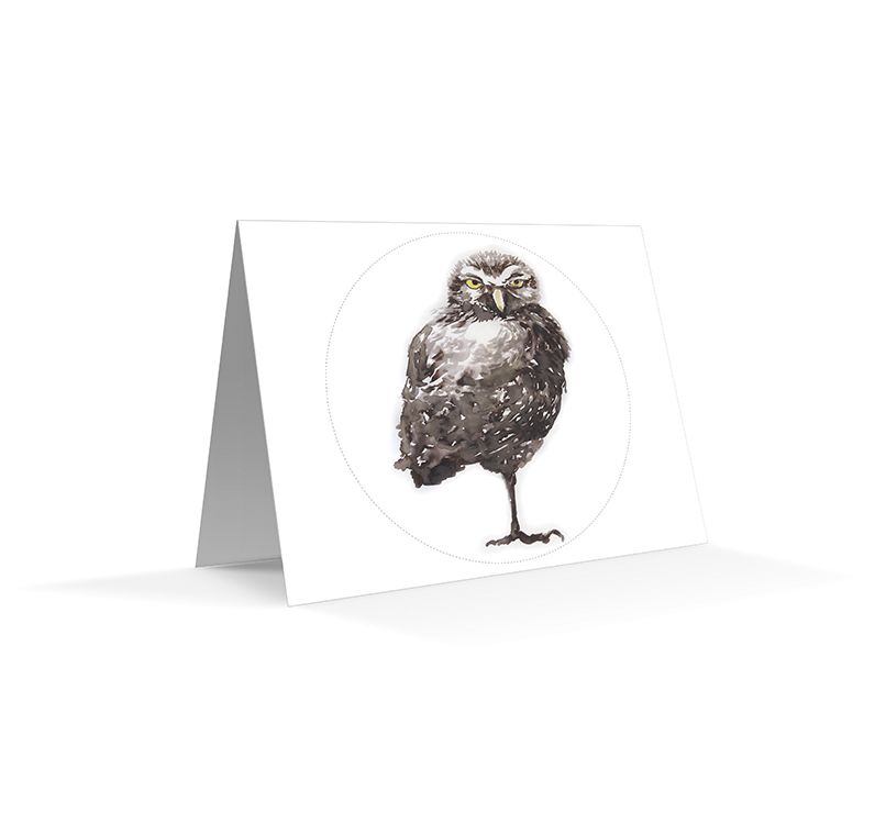 The California Field Atlas Note Card Set: Raptors