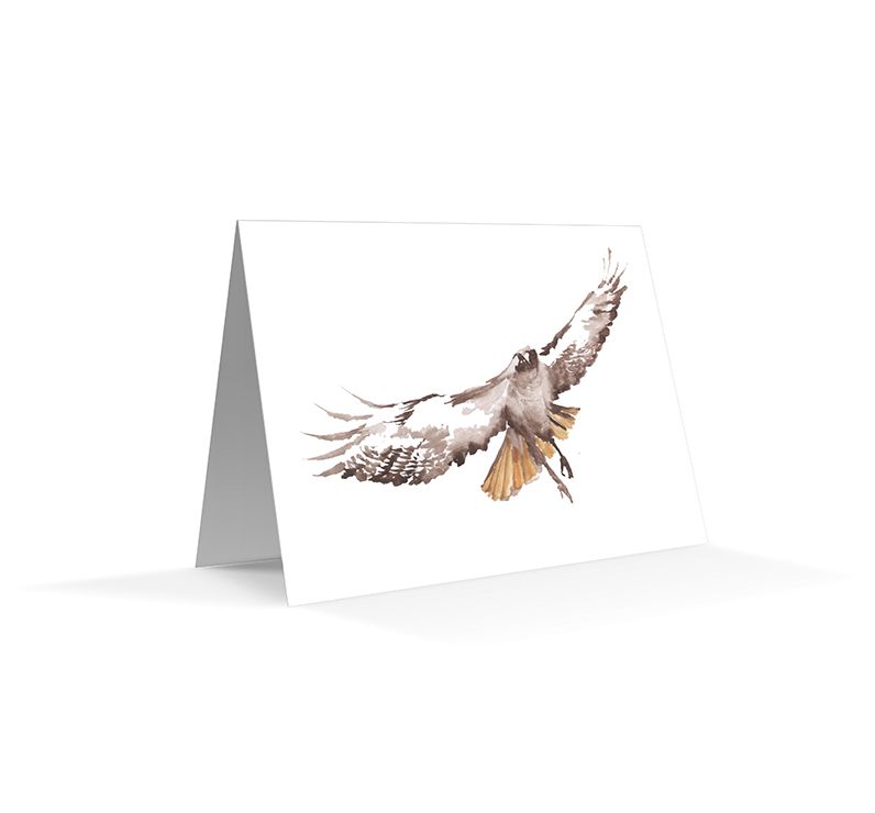The California Field Atlas Note Card Set: Raptors