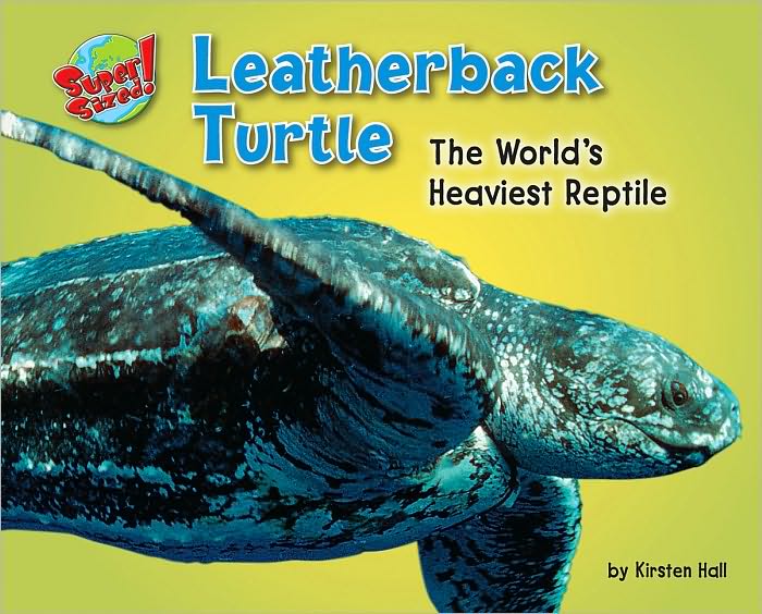 Leatherback Turtle: The World's Heaviest Reptile