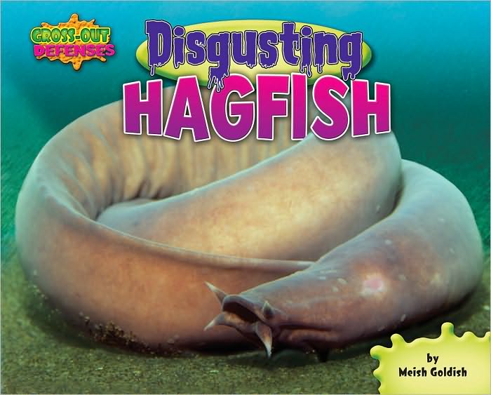 Disgusting Hagfish