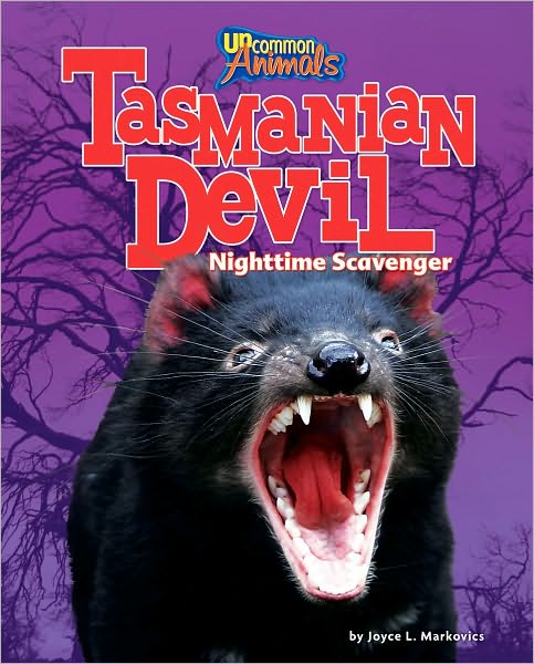 Tasmanian Devil: Nighttime Scavenger