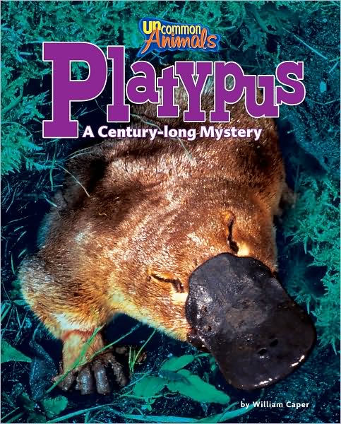 Platypus: A Century-long Mystery
