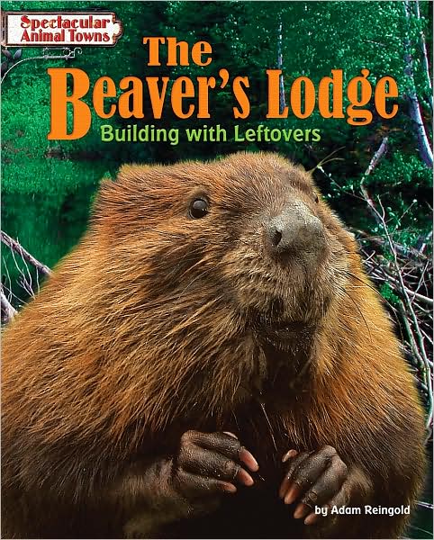 The Beaver's Lodge: Building with Leftovers