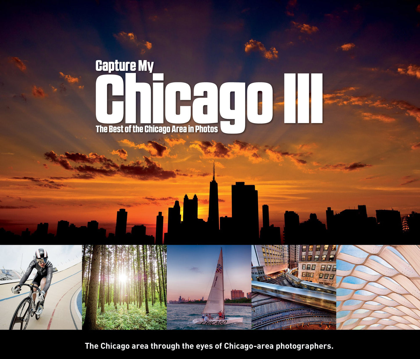 Capture My Chicago Vol. III