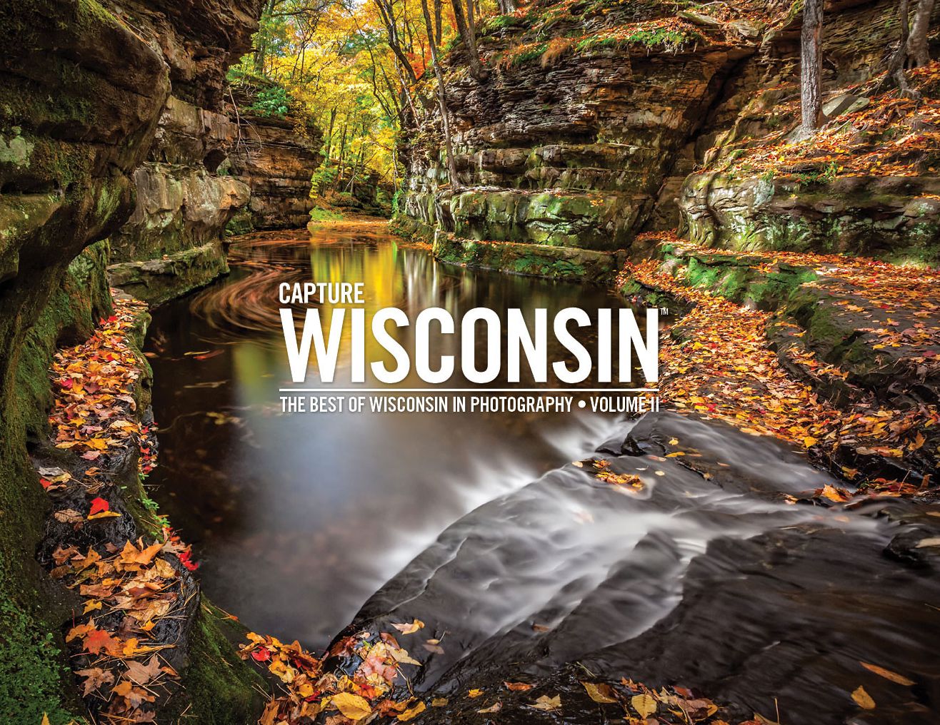 Capture Wisconsin II