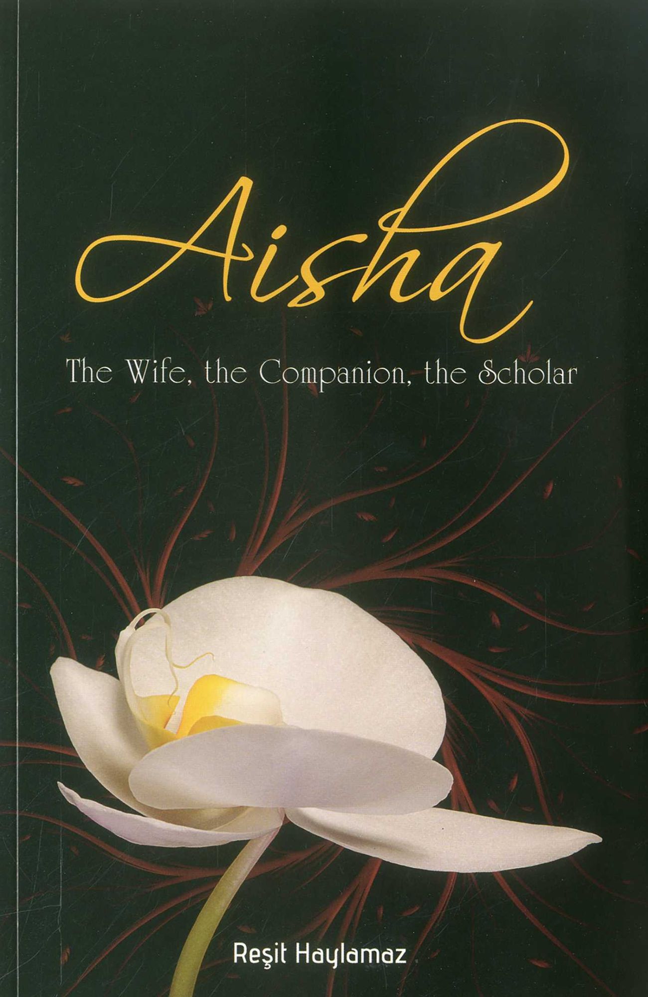 Aisha: The Wife, The Companion, The Scholar
