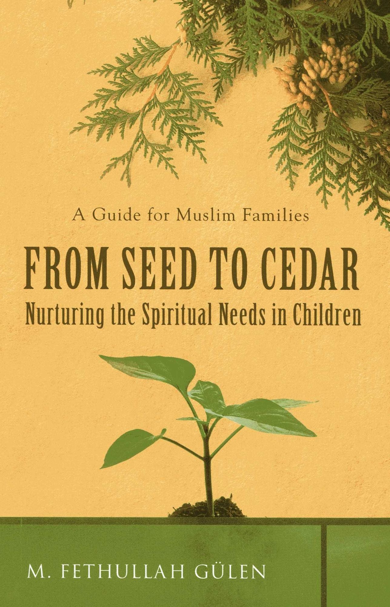 From Seed to Cedar: Nurturing the Spiritual Needs in Children