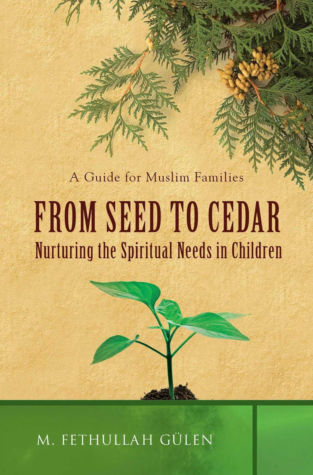 From Seed to Cedar: Nurturing the Spiritual Needs in Children