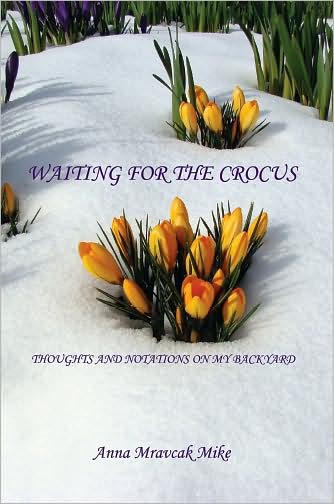 Waiting For The Crocus - Thoughts And Notations On My Backyard