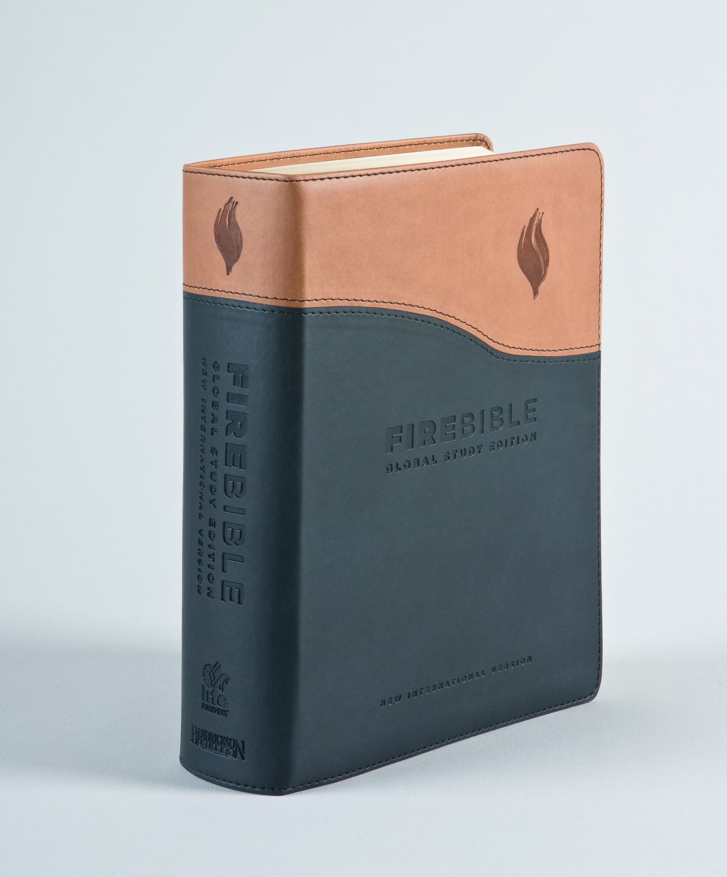 Fire Bible Global Study Edition, NIV