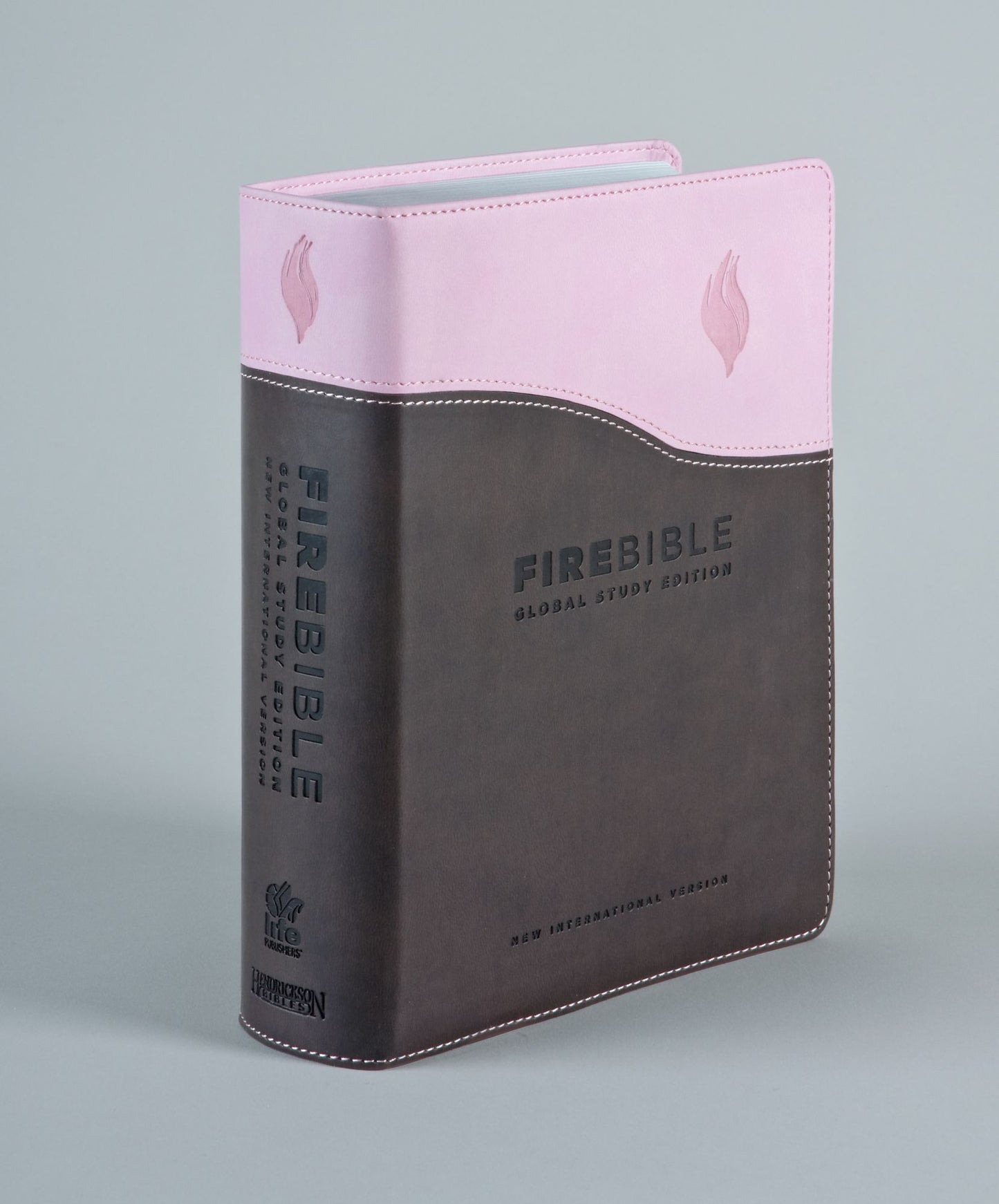 Fire Bible Global Study Edition, NIV