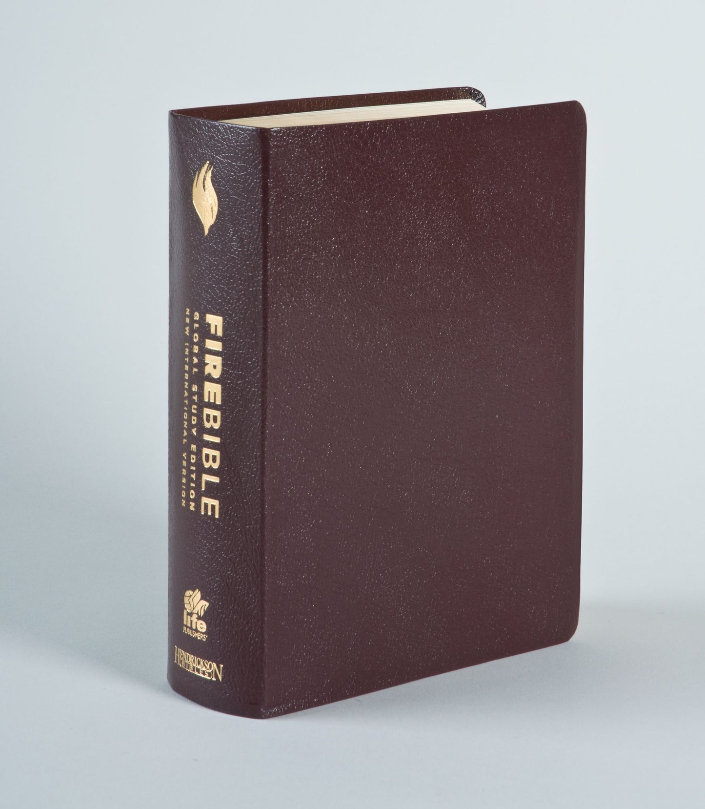 Fire Bible, International Edition, New International Version
