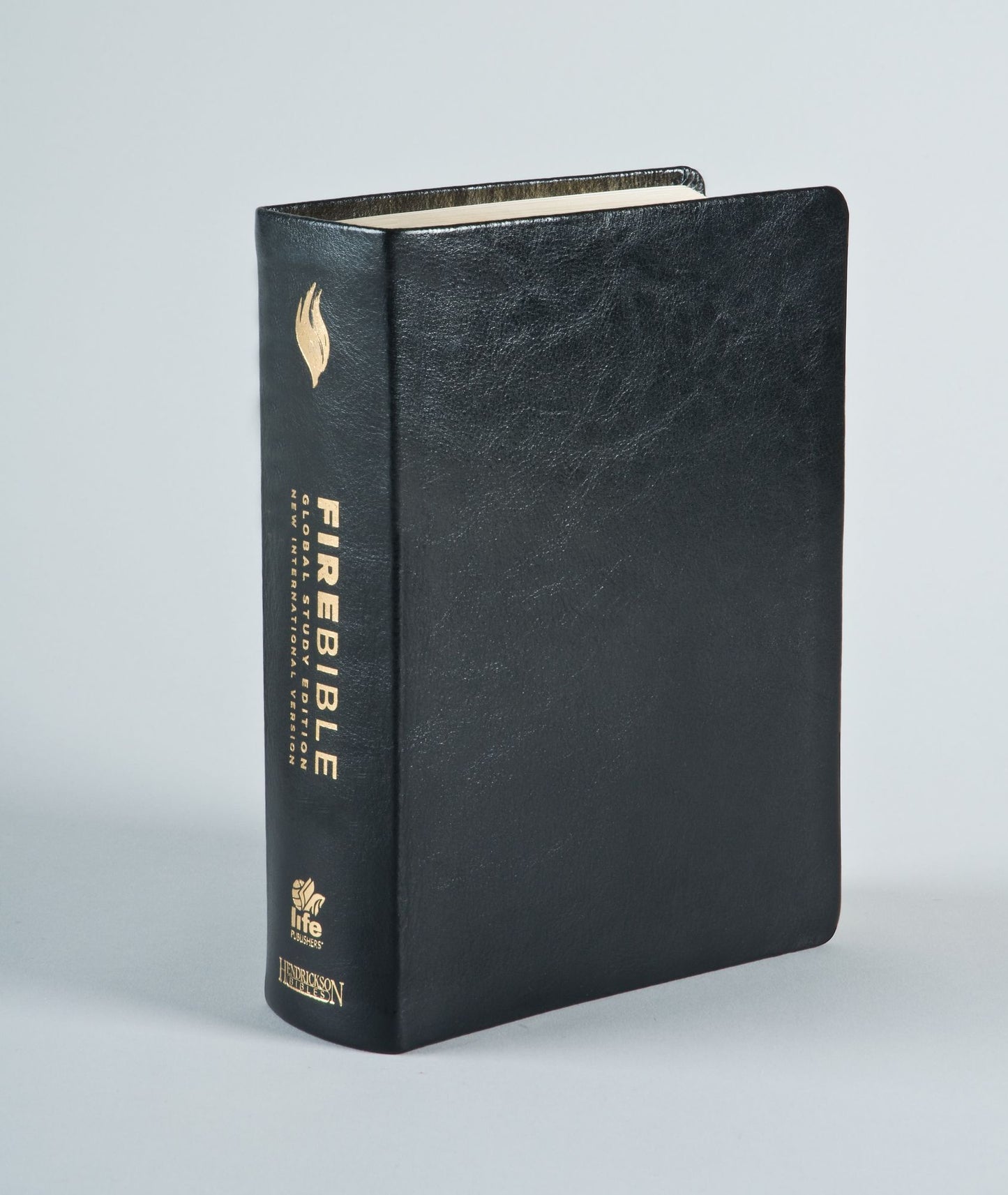 Fire Bible, International Edition, New International Version