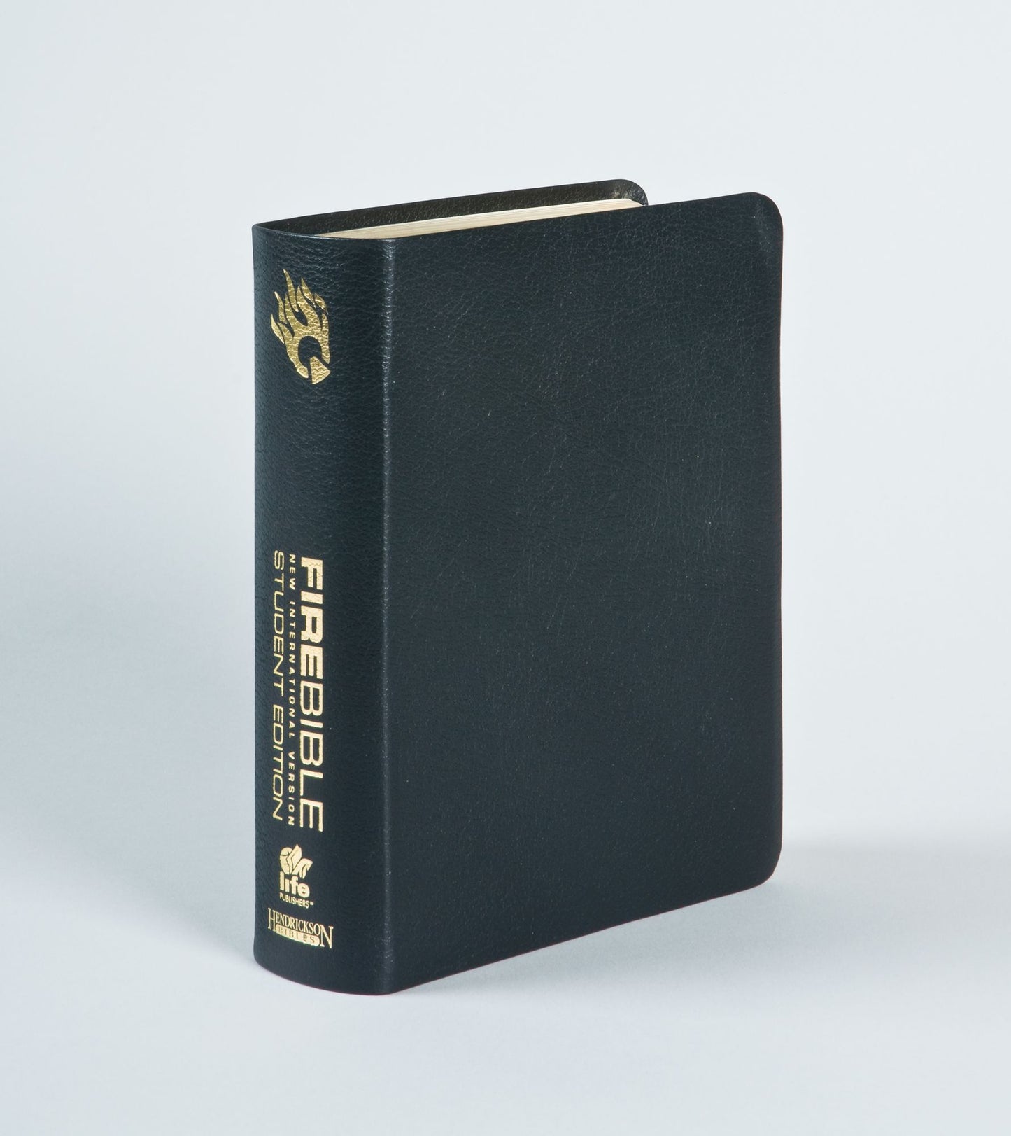 Fire Bible: Igniting a Generation in the Life of the Spirit - NIV Student Edition