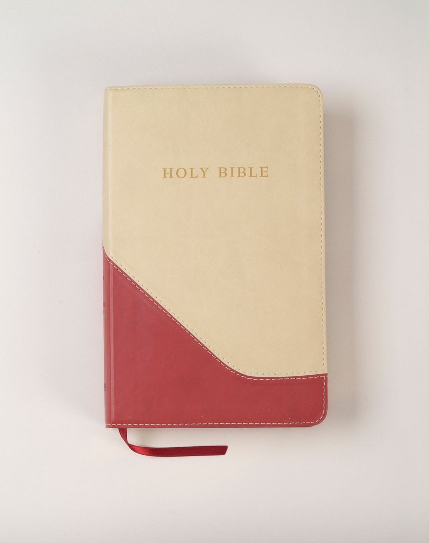KJV Personal Size Giant Reference Bible, Red/Sand