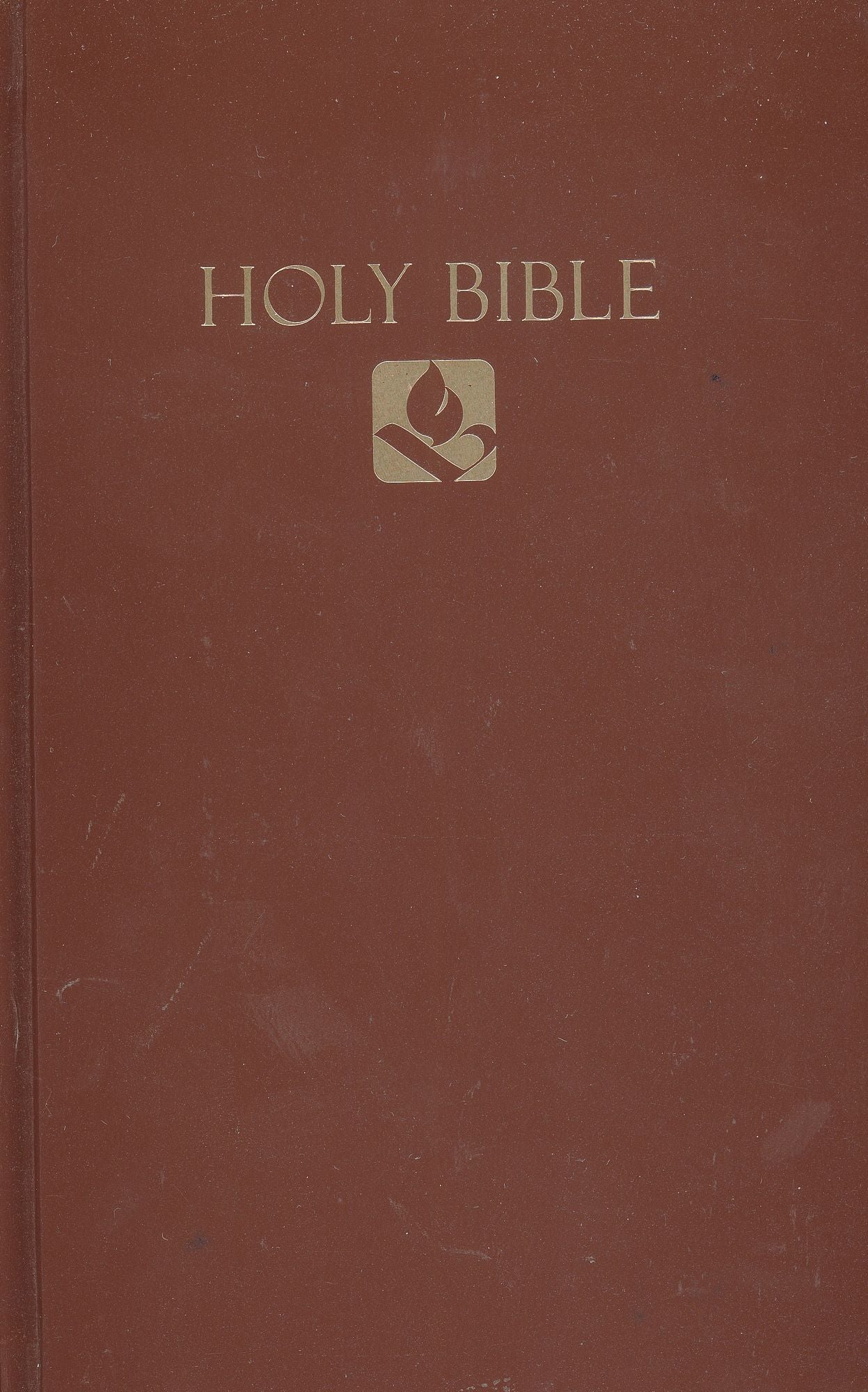 NRSV Pew Bible Brown