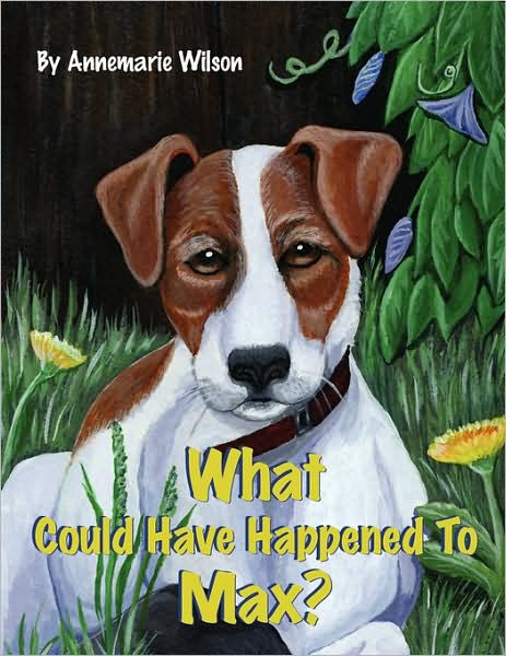 What Could Have Happened To Max?