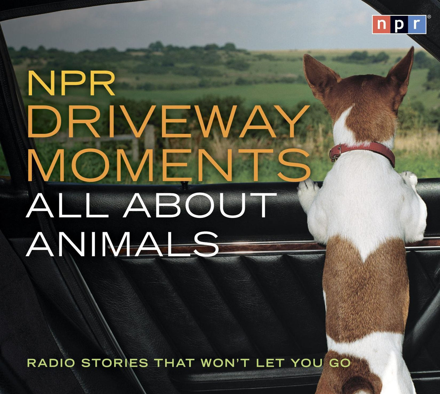 NPR Driveway Moments All About Animals: Radio Stories That Won't Let You Go