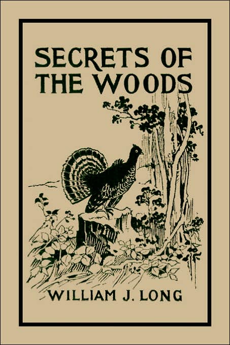 Secrets Of The Woods