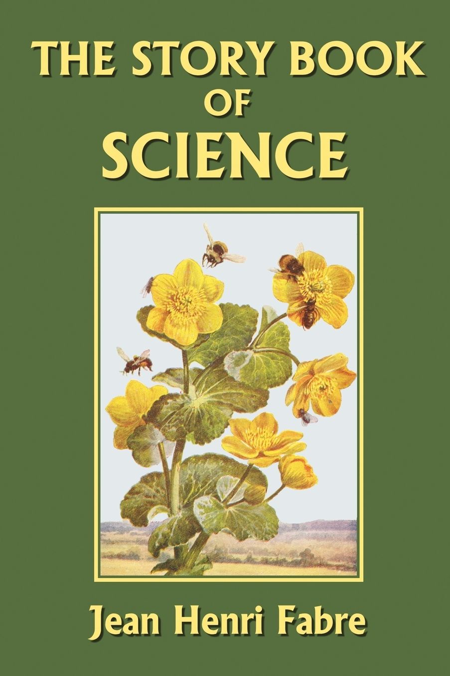 The Story Book Of Science