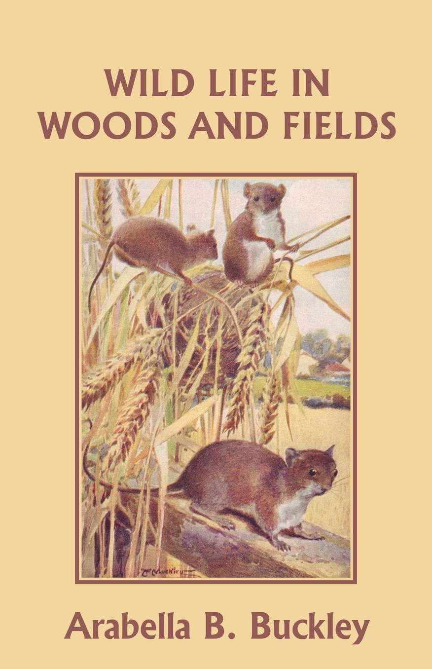 Wild Life In Woods And Fields (Yesterday's Classics)