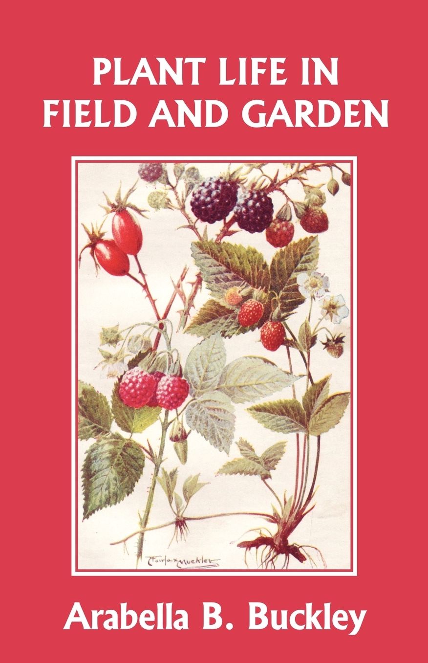 Plant Life In Field And Garden (Yesterday's Classics)