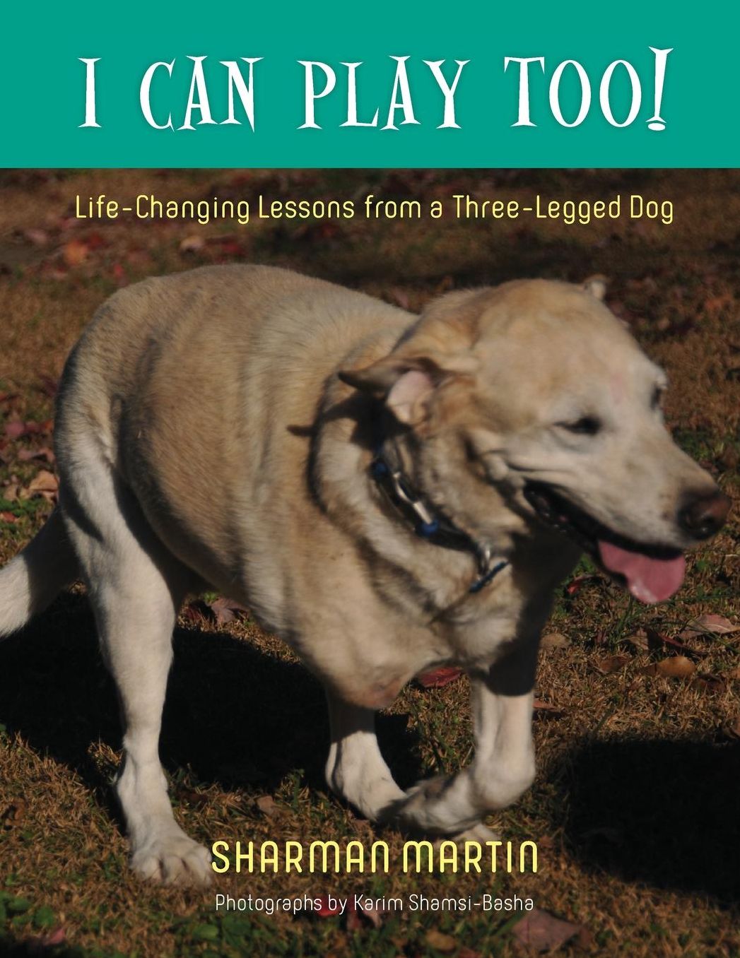 I CAN PLAY TOO! Life-Changing Lessons from a Three-Legged Dog