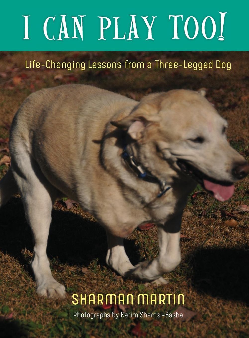 I CAN PLAY TOO! Life-Changing Lessons from a Three-Legged Dog