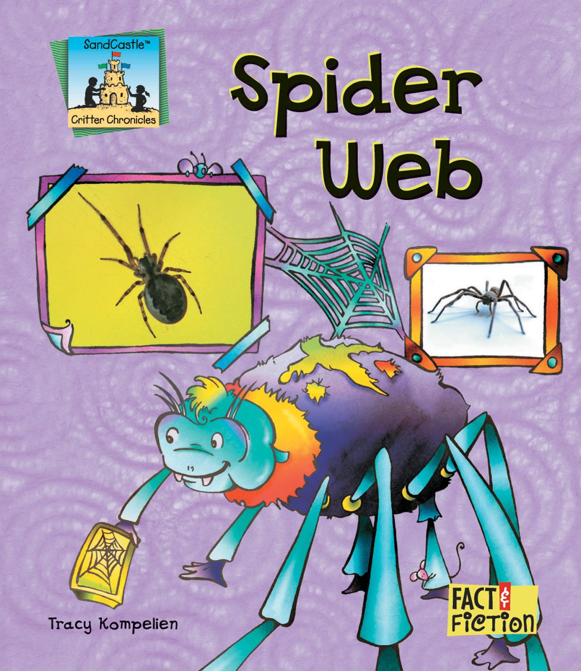 Spider Web