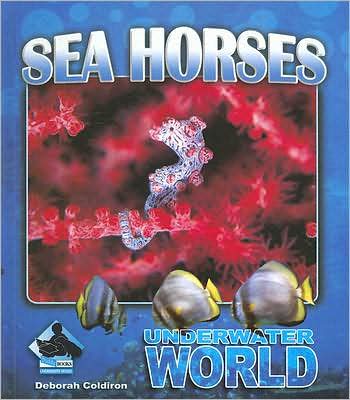 Sea Horses