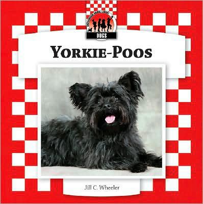 Yorkie-Poos
