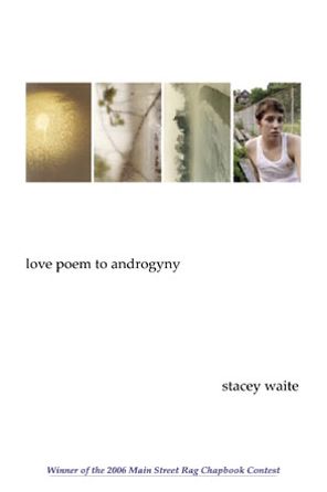 Love Poem to Androgyny